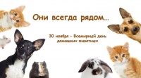 Всемирный день  домашних животных 